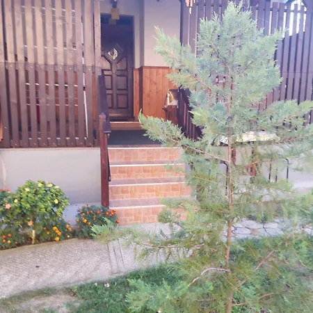 Apartment In 38456