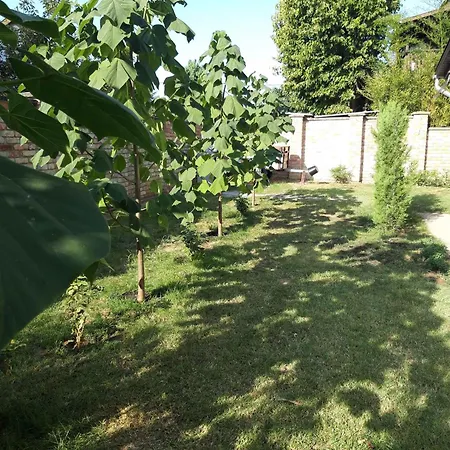 In 38456 * Balatonszárszó